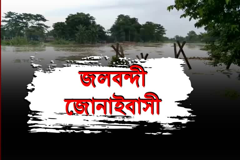 ৰাজ্যজুৰি বানৰ সংহাৰ: জলবন্দী জোনাইবাসী