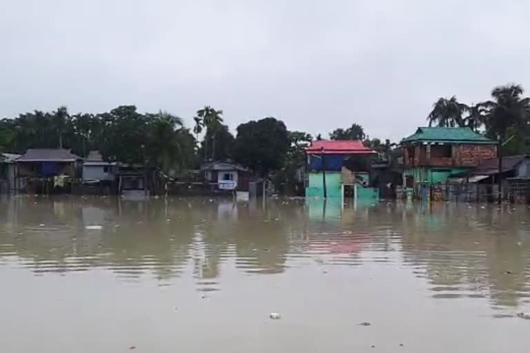 Water Log in Alipurduar due to heavy rain
