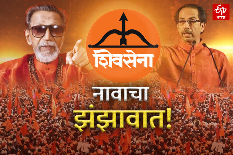 Shivsena Foundation Day