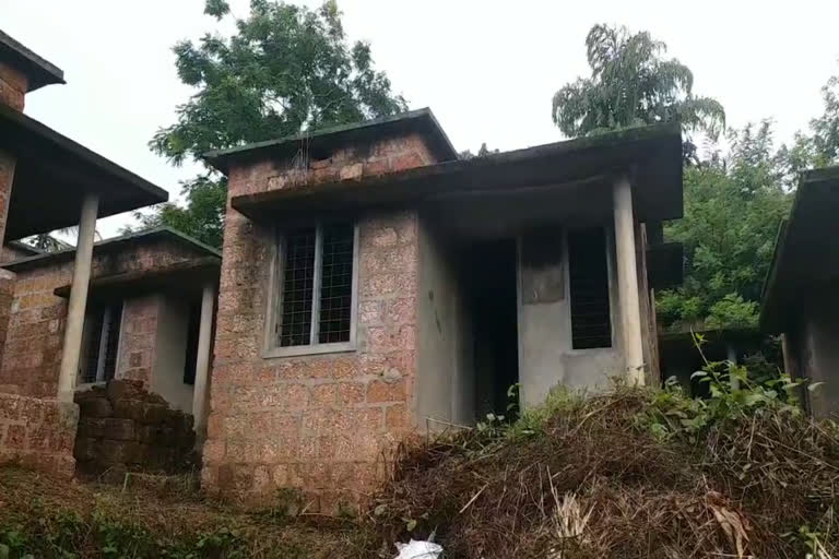 Houses that have not been completed for 10 years in kasargod kannada village  kasargod kannada village  കാടുകയറി നഗരസഭ നിർമിക്കുന്ന വീടുകൾ  കാസർകോട് കാടു കയറി നശിക്കുന്നത് 28 വീടുകൾ  സാമൂഹ്യ വിരുദ്ധരുടെ താവളമായി നഗരസഭ നിർമിക്കുന്ന വീടുകൾ  സാമ്പത്തികമായി പിന്നാക്കം നിൽക്കുന്ന കുടുംബങ്ങൾക്കായി കാസർകോട് നഗരസഭ നിർമിക്കുന്ന വീടുകൾ കാടുകയറി നശിക്കുന്നു  പണി പൂർത്തീകരിക്കാതെ 80 ലക്ഷം രൂപയുടെ പദ്ധതി  നഗരസഭയുടെ അനാസ്ഥയിൽ നശിക്കുന്ന വീടുകൾ  കാസർകോട് കന്നട ഗ്രാമത്തിൽ നഗരസഭയുടെ അനാസ്ഥ