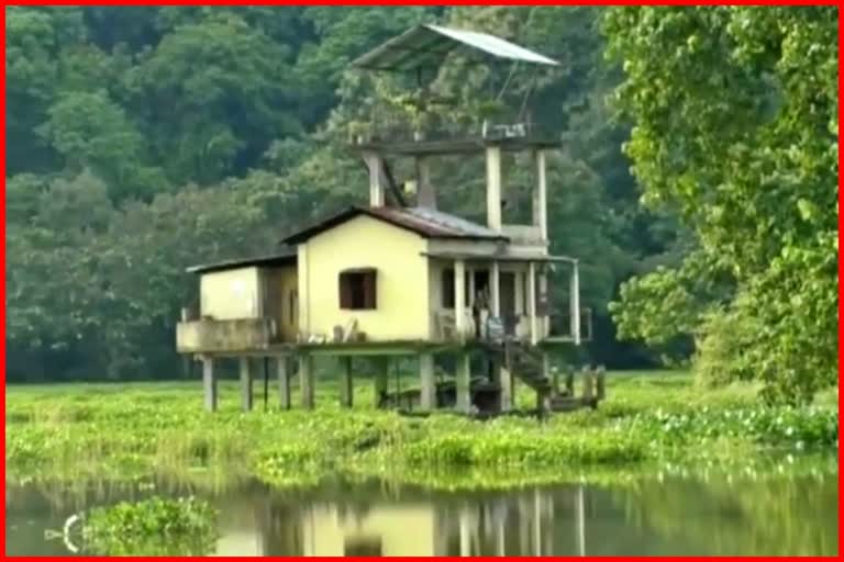 Floods at 6 forest camps at Burapahar forest