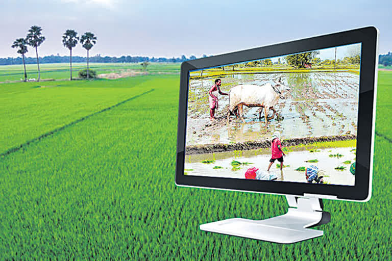 free Crop Insurance problems to farmers