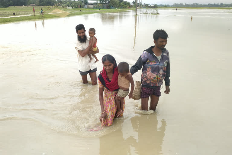 Embankment erosion Gabharu river at Rangapara