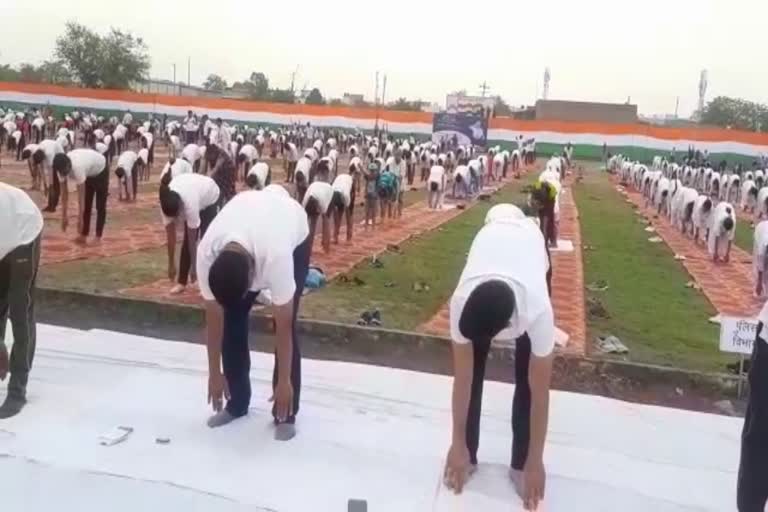 International yoga day in Rewari