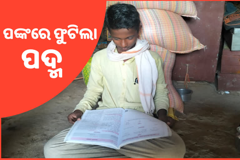 ସଂଘର୍ଷରୁ ସଫଳତା ! ମାଟ୍ରିକରେ ୯୧% ରଖିଲେ ମେଣ୍ଡା ଚରାଳି ପୁଅ