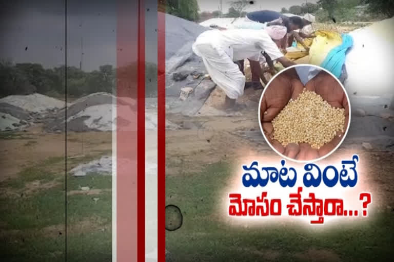 sorghum Farmers facing problems in kamareddy district