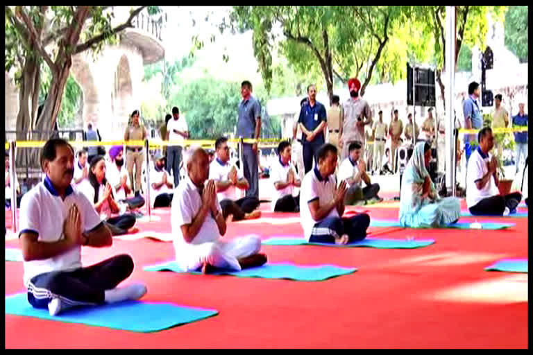 Yoga Day Celebrated In Rock Garden