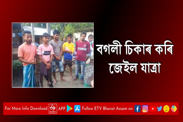 Lakhimpur youth arrested for hunting bird