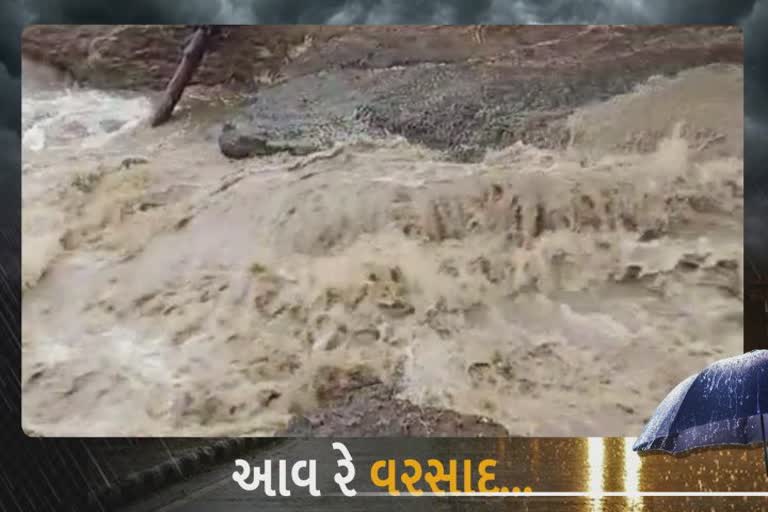 Monsoon Bhavnagar 2022 : નદીઓમાં નવા નીરના વધામણાં, જિલ્લામાં કુલ વરસાદ કેટલો વરસ્યો જાણો