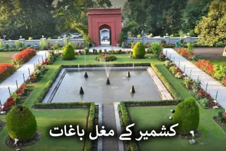 6 Lakh People Visit Mughal Gardens In Last 2 Months in kashmir