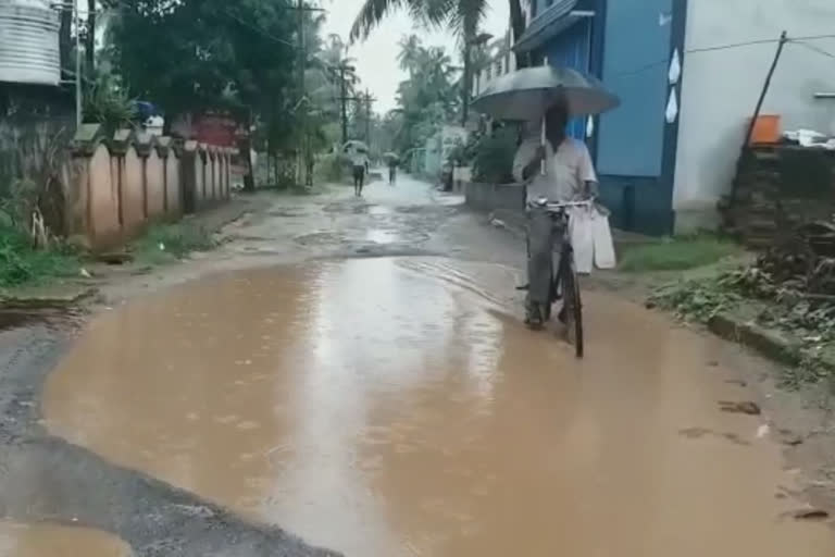 పలు జిల్లాలో విస్తారంగా వర్షాలు