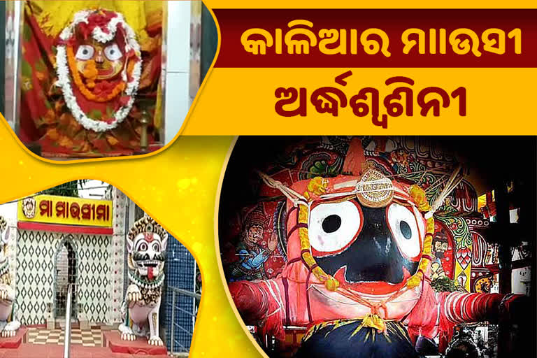 ଶ୍ରୀଗୁଣ୍ଡିଚା ମନ୍ଦିର ନୁହେଁ ମହାପ୍ରଭୁଙ୍କ ମାଉସୀ ଘର, ଜାଣନ୍ତୁ କିଏ କାଳିଆର ମାଉସୀ