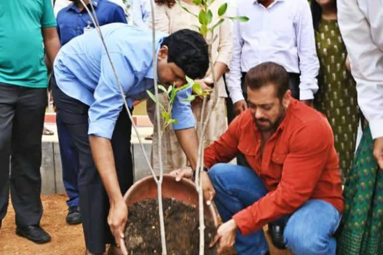 Bollywood Star Salmankhan planted trees at Ramoji film city in Green India Challenge