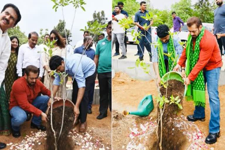 Green India Challenge: ରାମୋଜୀ ଫିଳ୍ମ ସିଟିରେ ବୃକ୍ଷରୋପଣ କଲେ ଅଭିନେତା ସଲମାନ ଖାନ