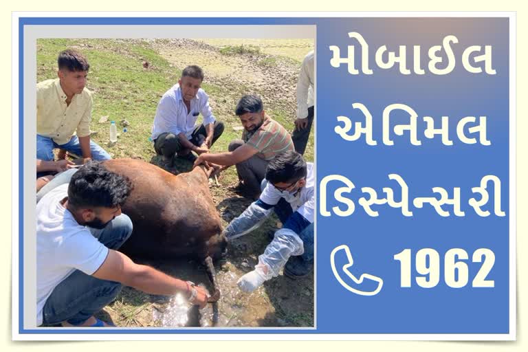 પશુપાલકો અને લોકોમાં રખડતા પશુ દવાખાનાની સેવાઓની જાગૃત વધી, થયા આ સેવાના 2 વર્ષ પૂર્ણ