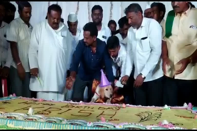 Person celebrates a Pet dogs Birthday  Non veg meals for villagers in dog birthday  വളര്‍ത്തുനായയുടെ പിറന്നാളിന് ഗ്രാമവാസികള്‍ക്ക് സദ്യ  നായയുടെ പിറന്നാളിന് 5000 ഗ്രാമവാസികള്‍ക്ക് സദ്യനല്‍കി യജമാനന്‍