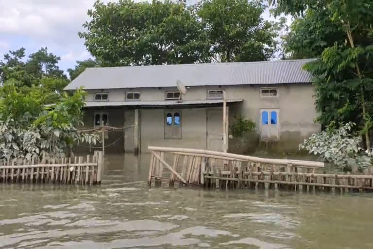 flood effected family Begging for help