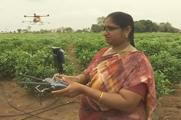 Woman farmer uses drone guntur