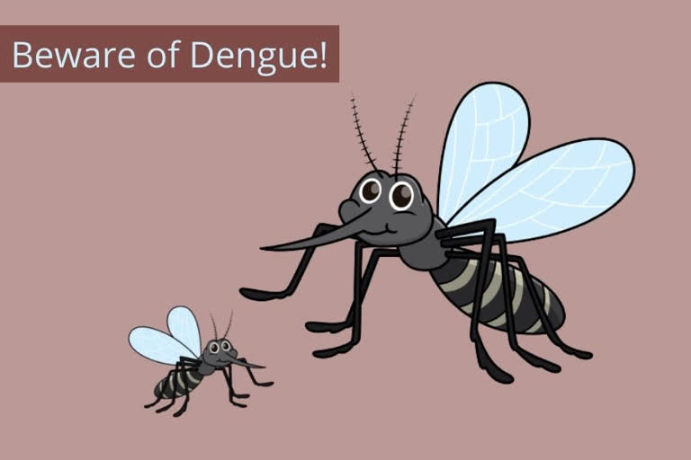 Dengue: Symptoms, complications and tips to prevent