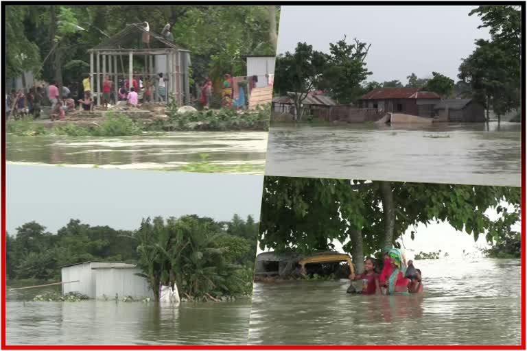 Bhelengi river erosion collapses 37 house at Jania