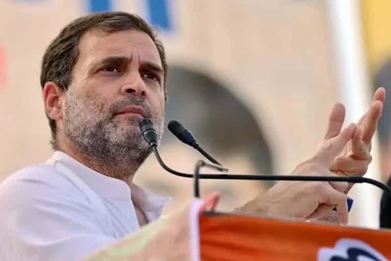 Wayanad MP Rahul Gandhi writes to PM Modi on Eco sensitive zones