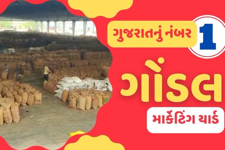 સૌરાષ્ટ્રનું નંબર વન ગણાતું આ માર્કેટ યાર્ડ, બન્યું સમગ્ર ગુજરાતનું નંબર 1 માર્કેટિંગ યાર્ડ