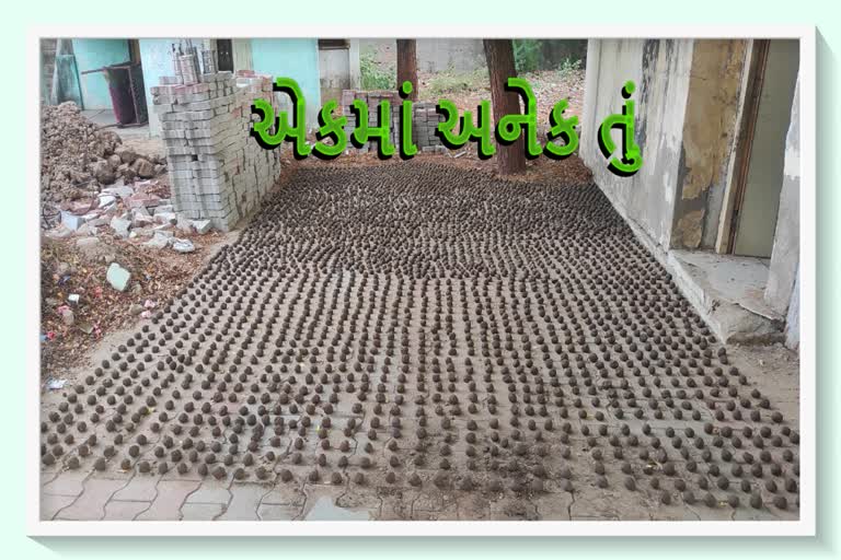 Seed Ball Plantation : જૂઓ આ નવતર અભિગમ કેવી રીતે કરશે હરિયાળી ક્રાંતિ