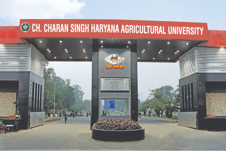 Haryana Agricultural University Admission