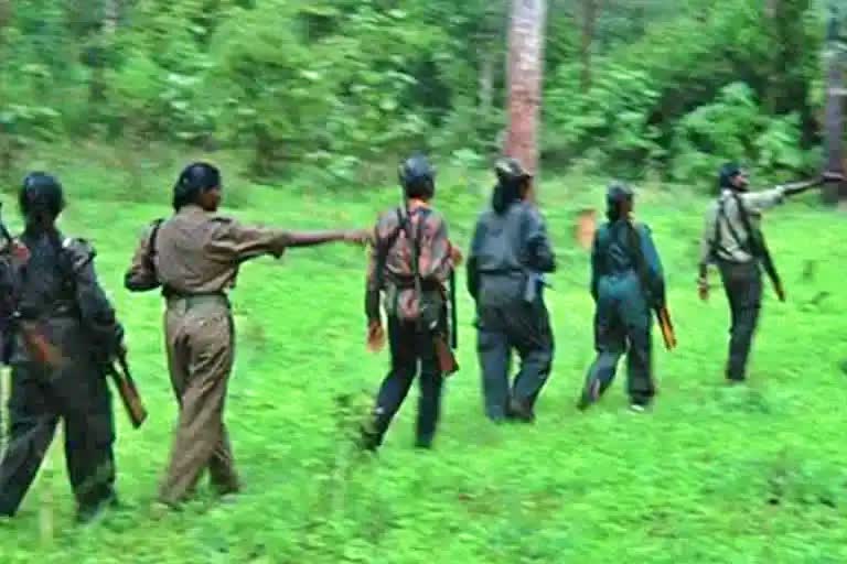 Maoists take firearms training from banned outfits to unleash terror