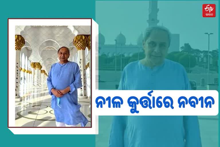 ଆବୁଧାବି ମସଜିଦ ବୁଲି ଦେଖିଲେ ମୁଖ୍ୟମନ୍ତ୍ରୀ ନବୀନ