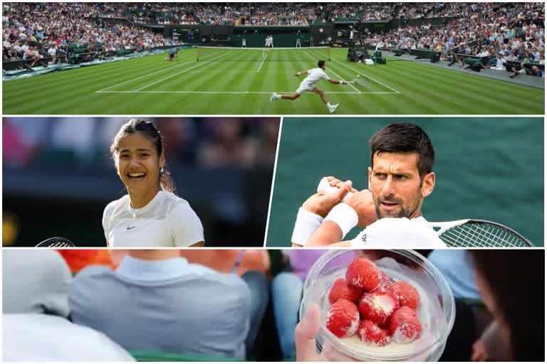 wimbledon strawberries