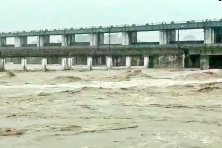 Gandak river water level incGandak river water level increased in Bagaha reased in Bagaha