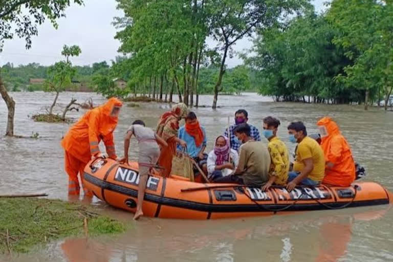 Assam flood