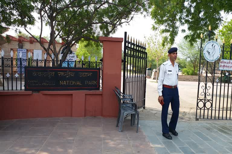 Water Crisis in Keoladeo National Park