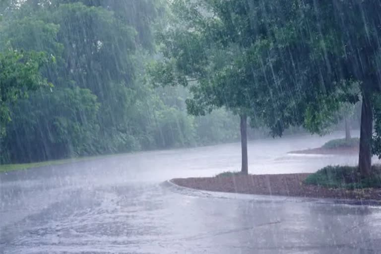 സംസ്ഥാനത്ത് മഴക്ക് സാധ്യത  The state is likely to receive heavy rains till July 2  സംസ്ഥാനത്ത് ജൂലൈ രണ്ട് വരെ ശക്തമായ മഴക്ക് സാധ്യത  heavy rain in kerala  yellow alert  കേരളത്തില്‍ യെല്ലോ അലര്‍ട്ട  കേന്ദ്ര കാലാവസ്ഥ വകുപ്പ്  Central Meteorological Department