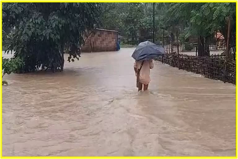 flood-effects-terribly-human-and-other-livestock-in-jonai