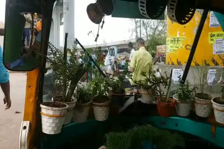 Driver crafts portable garden in his auto
