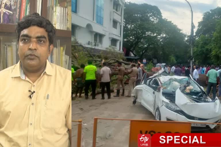 உயிர் வாங்கும் மரங்கள்... பராமரிப்பில் கோட்டைவிடுகிறதா சென்னை மாநகராட்சி?!