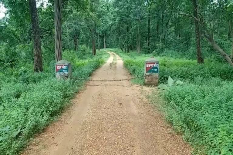 Palamu Tiger Reserve