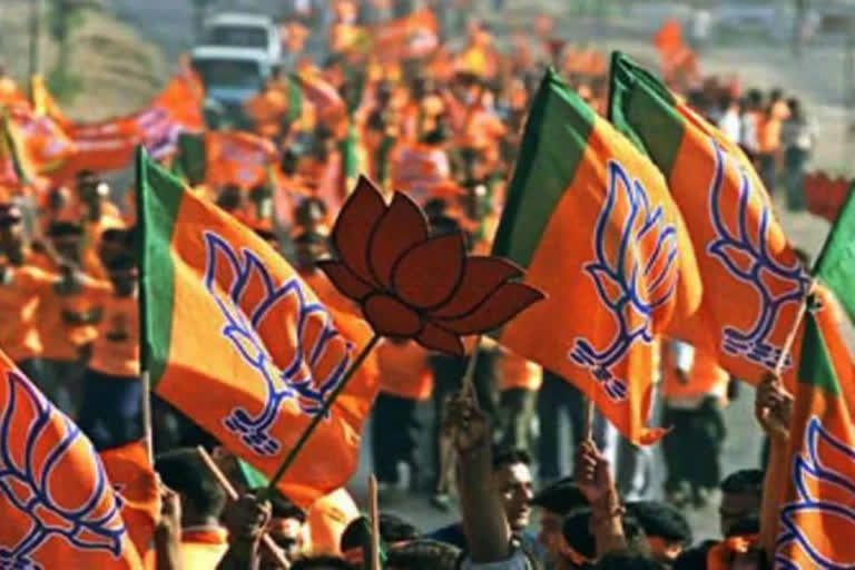 explainer-bjp-success-story-from-maharashtra-to-arunachal-pradesh