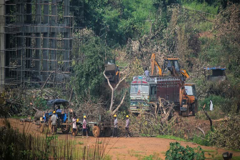 Shinde-Fadnavis took steps towards bringing the car shed back to Aarey Colony in the first cabinet meeting