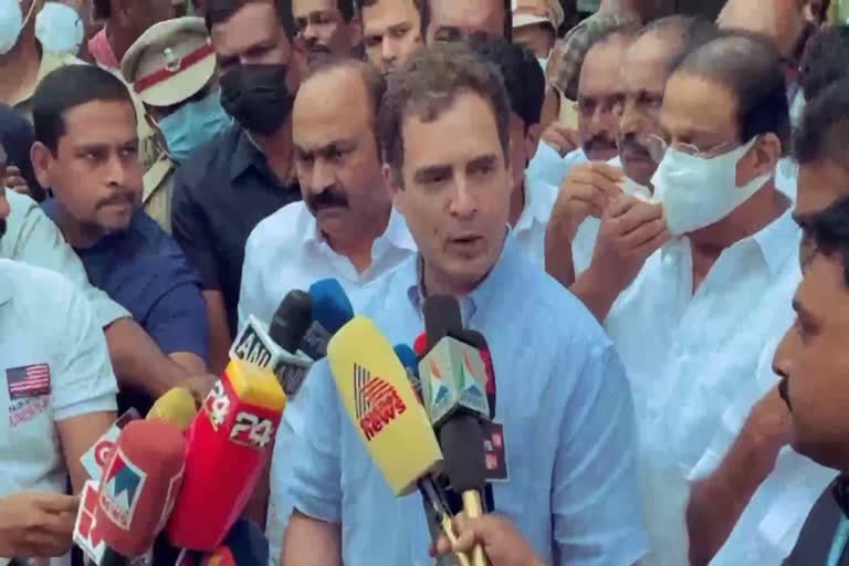 rahul gandhi on bjp  Rahul Gandhi  BJP  RSS  Congress  രാഹുല്‍ ഗാന്ധി  ആര്‍എസ്എസ്  ബിജെപി