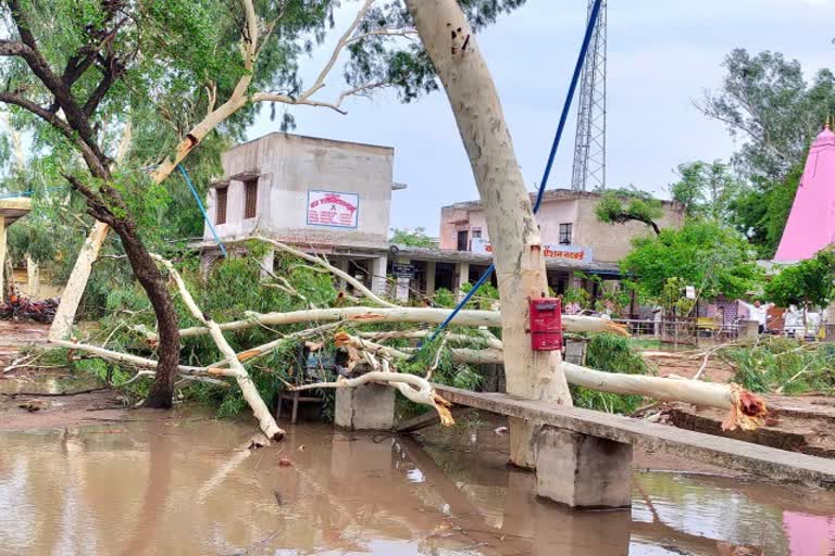 Thunderstorm in Bharatpur