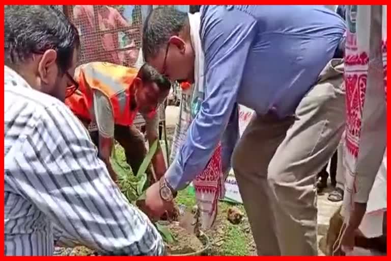 Plantation programme organized by Markazul Maarif in Hojai