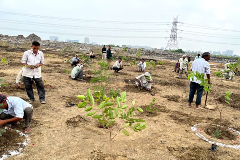 Ghaziabad plantation drive