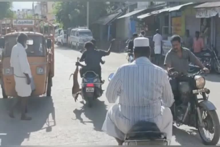 நாய்க்குட்டியை தலை கீழாக தூக்கிச் சென்ற இருவர் காவல்துறையினரால் கைது