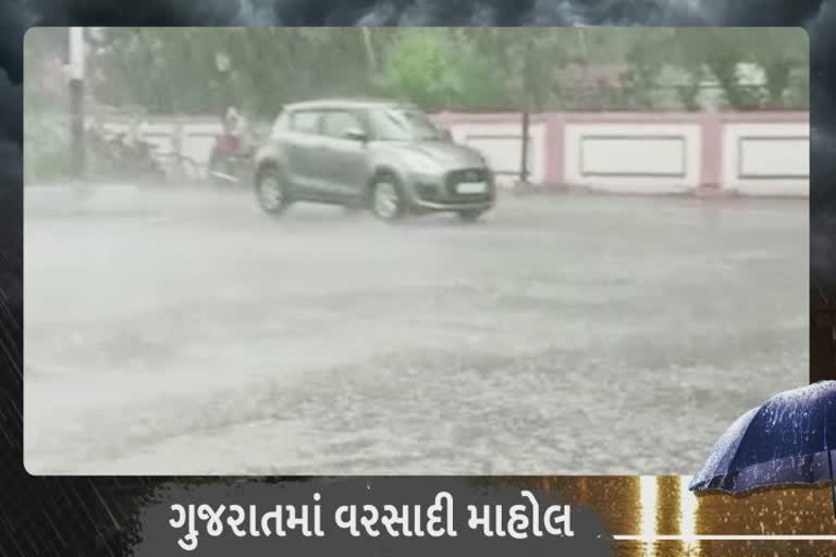 Rain in Vadodara: શહેરમાં ધીમીધારે વરસાદ શરૂ થતા વાતવરણ ટાઢું થયું