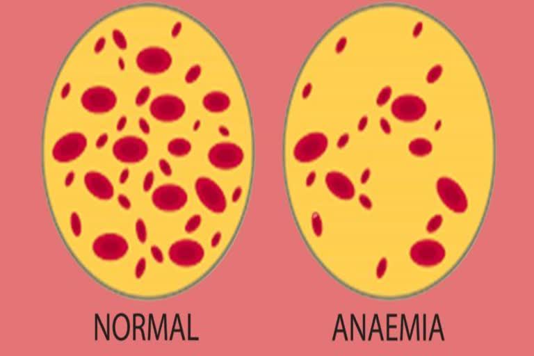 Loss of blood can be fatal for the body