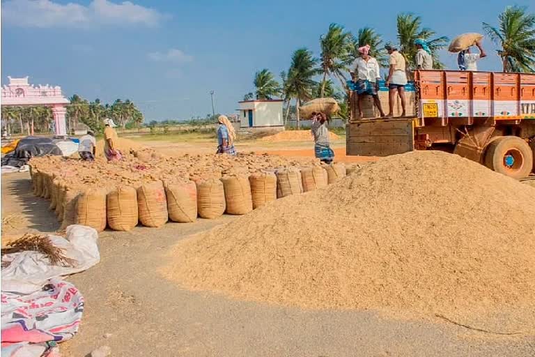 அரசு நெல் கொள்முதல் நிலையங்களில் மோசடி