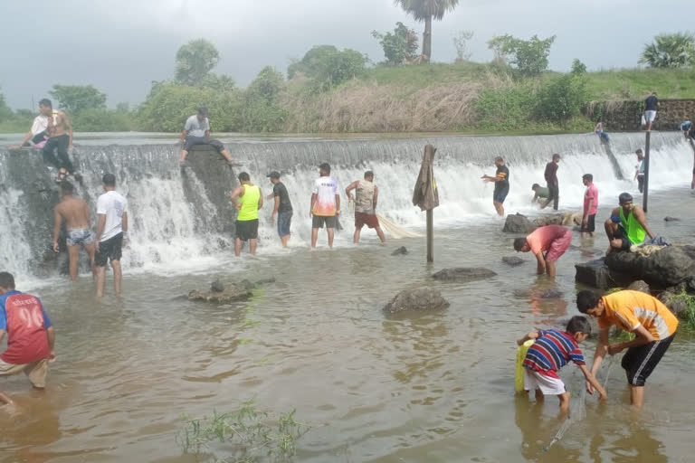 Citizens flock to the Ulhas River for fishing